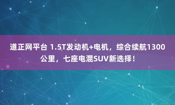 道正网平台 1.5T发动机+电机，综合续航1300公里，七座电混SUV新选择！