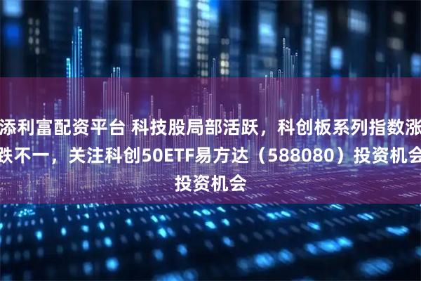 添利富配资平台 科技股局部活跃，科创板系列指数涨跌不一，关注科创50ETF易方达（588080）投资机会